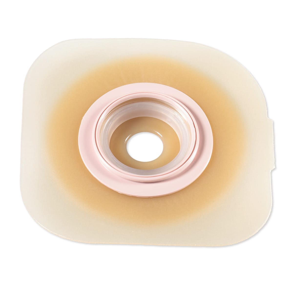 product-1000030404-0-0-20270