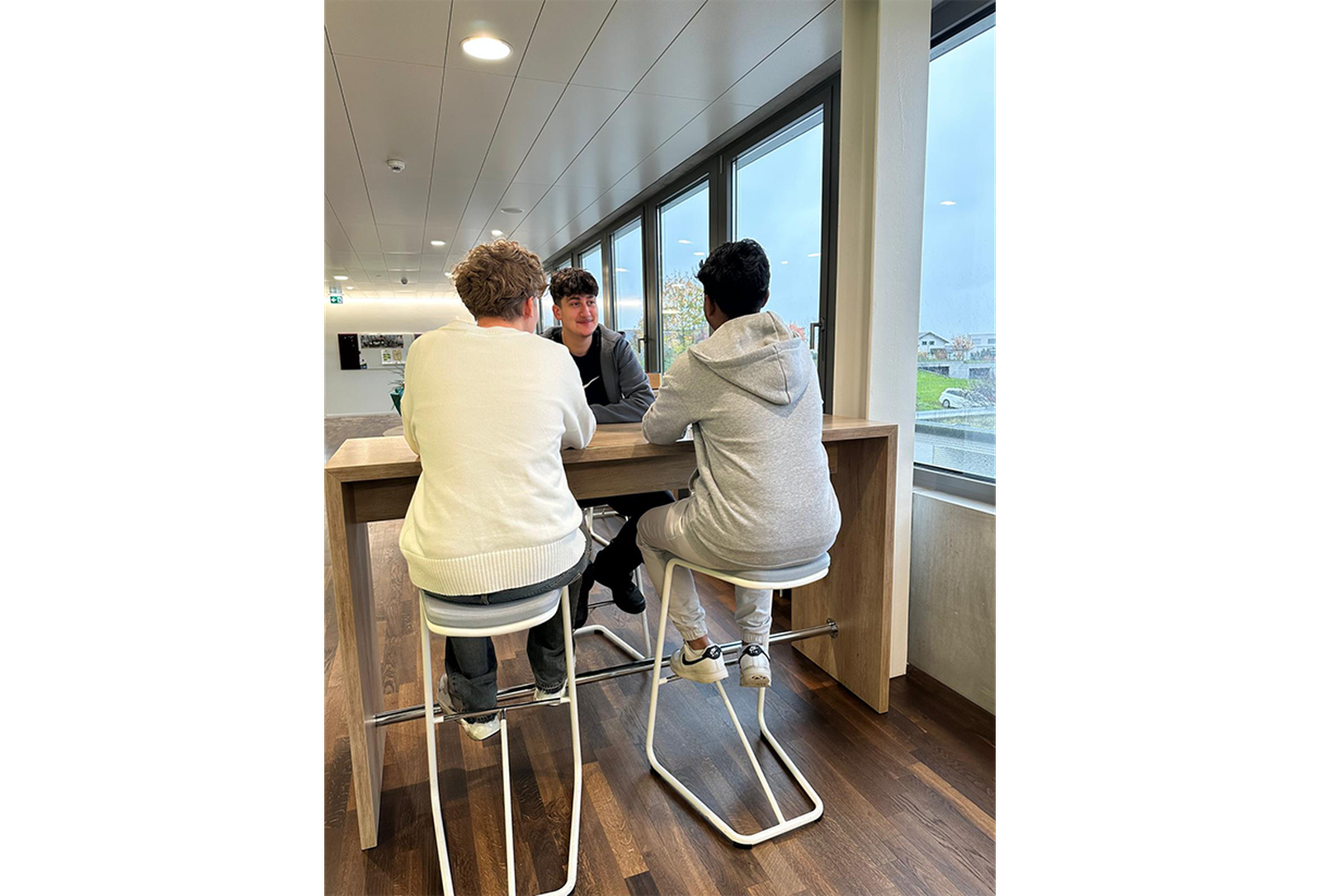 Jung. Mutig. Wissbegierig - die ersten Lernenden bei Publicare