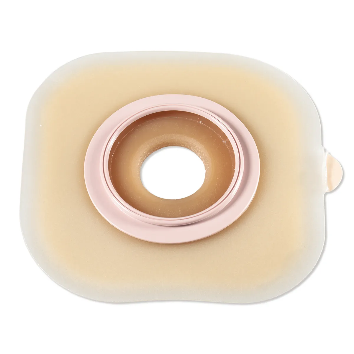 product-1000030386-0-0-20269