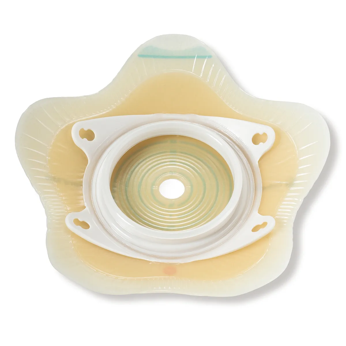product-1020742623-0-0-21811